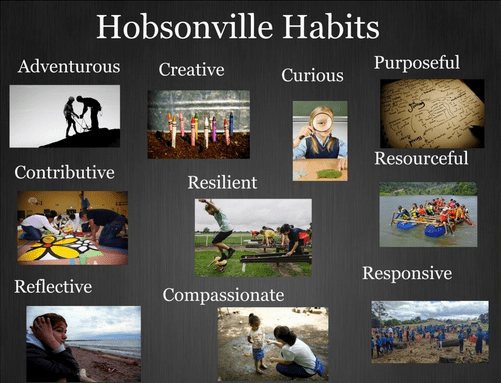 Hobsonville Habits courtesy of Sally Hart