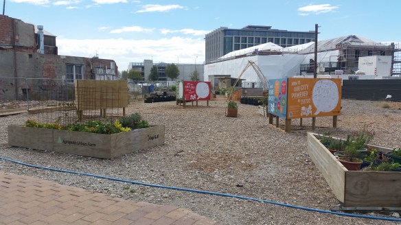Loved this 'urban farm' producing goods amongst the inner CBD rebuild